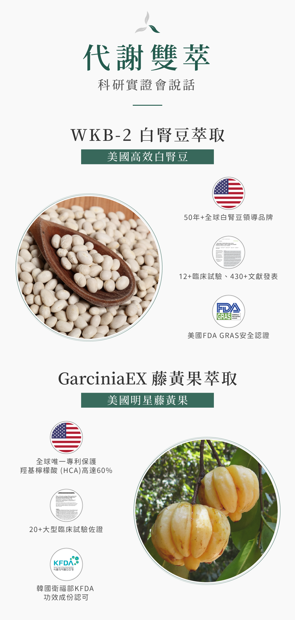 極酵纖窈飲嚴選白腎豆及藤黃果萃取