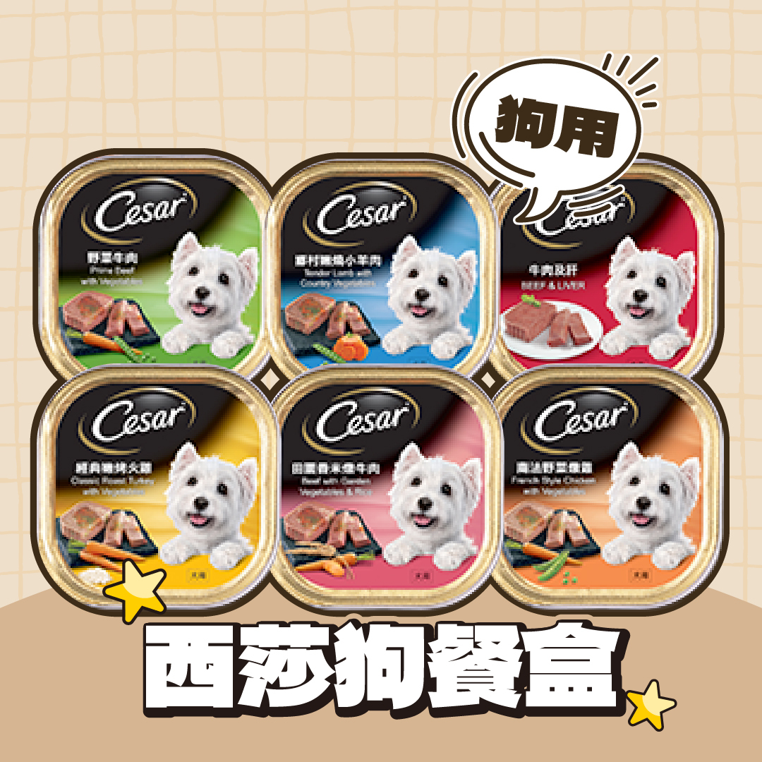 西莎｜狗餐盒 100g