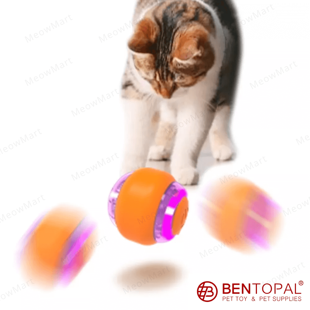 【現貨8折】Bentopal 智能貓咪電動搖搖球