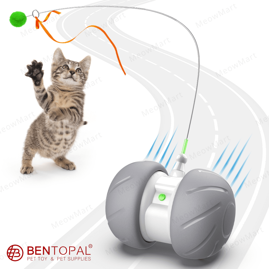 【現貨8折】Bentopal  LED智能碰碰車