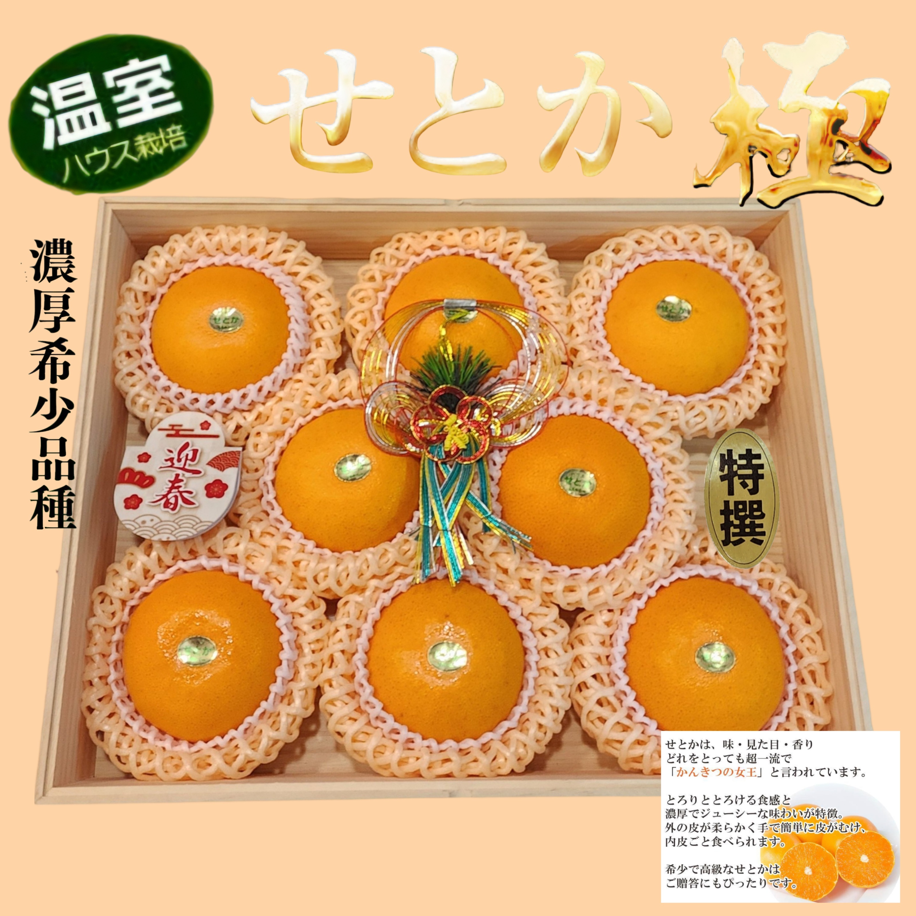 日本佐賀縣皇姬蜜柑