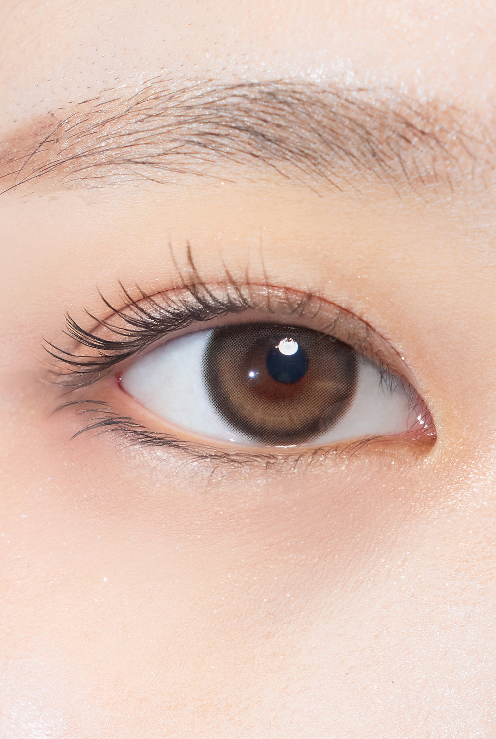 [13.5mm] Hapa Kristin 1 Day One&Only Kristin Plus Brown 棕色 日拋彩妝隱形眼鏡｜每盒10片