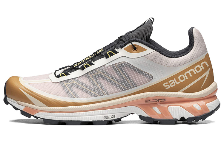 【代購】SALOMON XT-6 FT Morganite Fenugreek