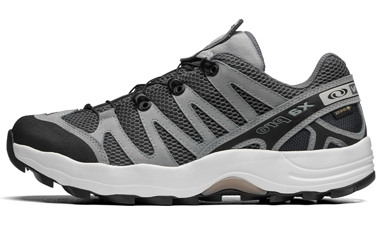 【代購】Xa Pro 1 Beams X SALOMON Gtx 'Quarry Black'