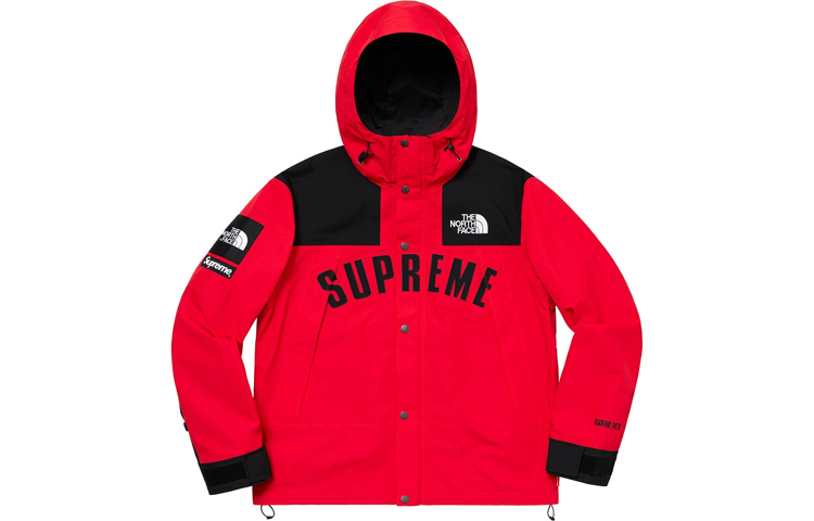 【代購】Supreme X The North Face Arc Logo Mountain Parka