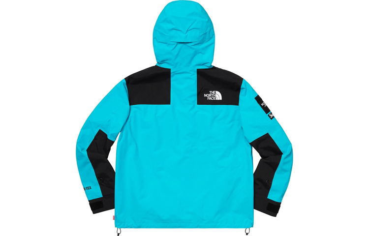 【代購】Supreme The North Face Arc Logo Mountain Parka