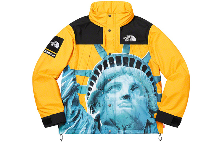 【代購】Supreme The North Face Statue Of Liberty Mountain Jacket