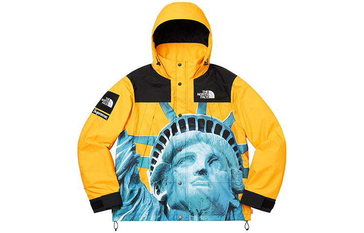 【代購】Supreme The North Face Statue Of Liberty Mountain Jacket