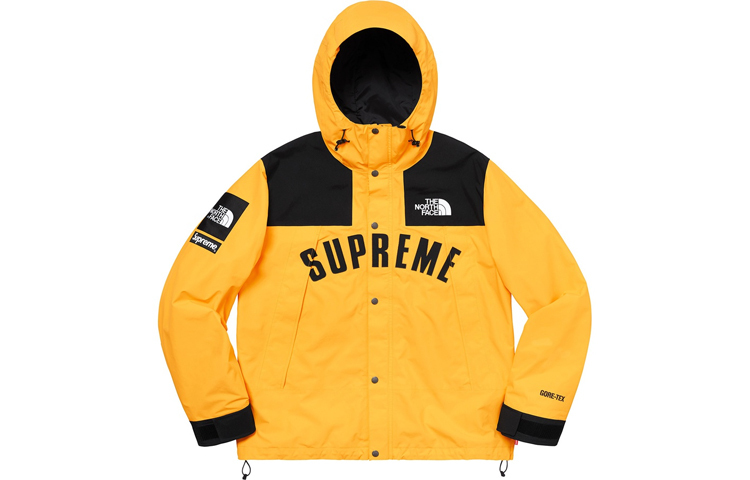 【代購】Supreme The North Face Arc Logo Mountain Parka