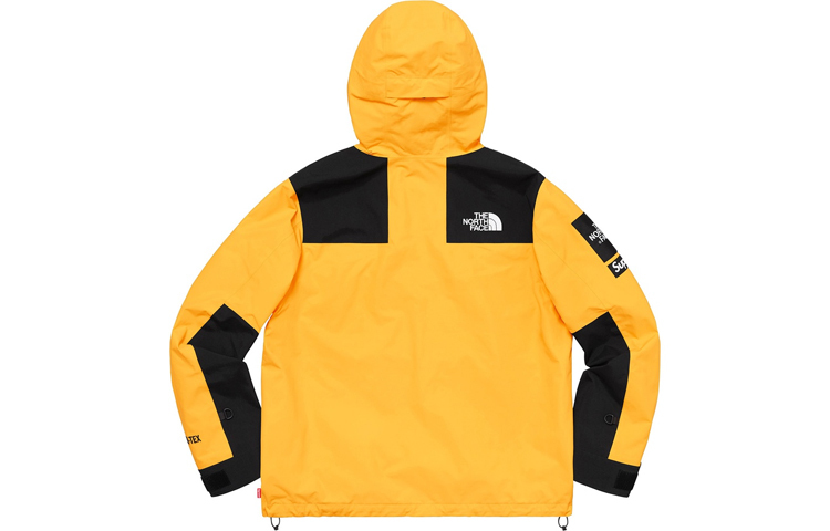 【代購】Supreme The North Face Arc Logo Mountain Parka