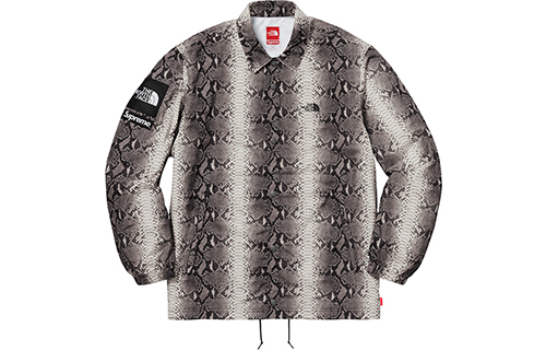 【代購】Supreme The North Face Snakeskin Taped Seam Coaches Jacket