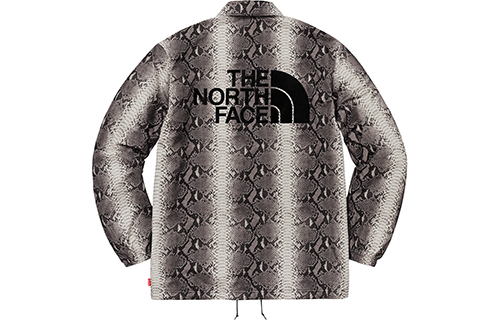 【代購】Supreme The North Face Snakeskin Taped Seam Coaches Jacket