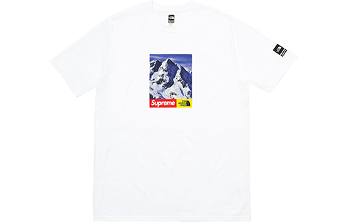 【代購】Supreme The North Face Mountain Tee