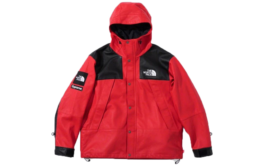 【代購】Supreme The North Face Leather Mountain Parka