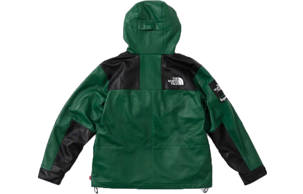 【代購】Supreme The North Face Mountain Jacket