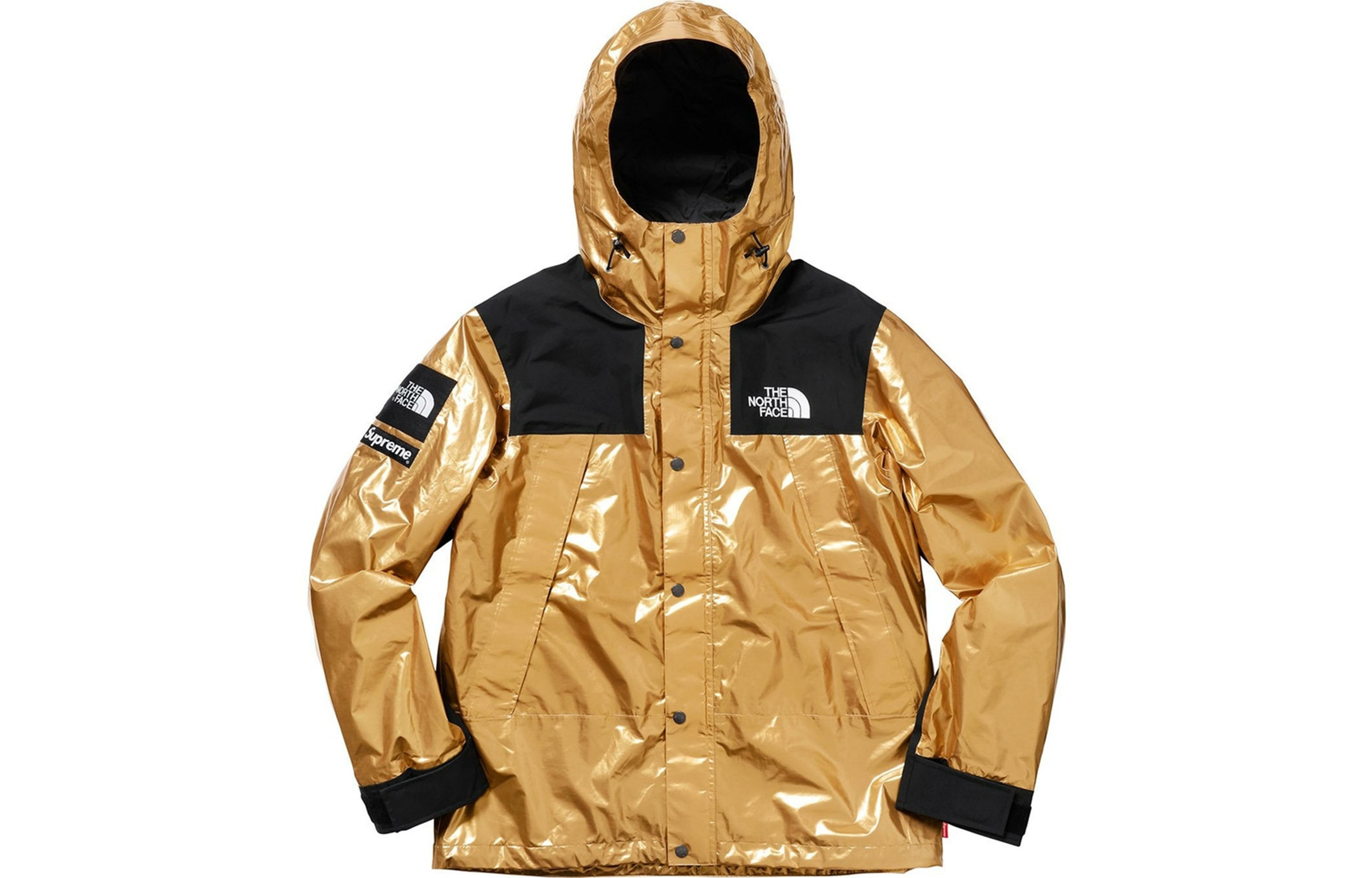 【代購】Supreme The North Face Metallic Mountain Parka