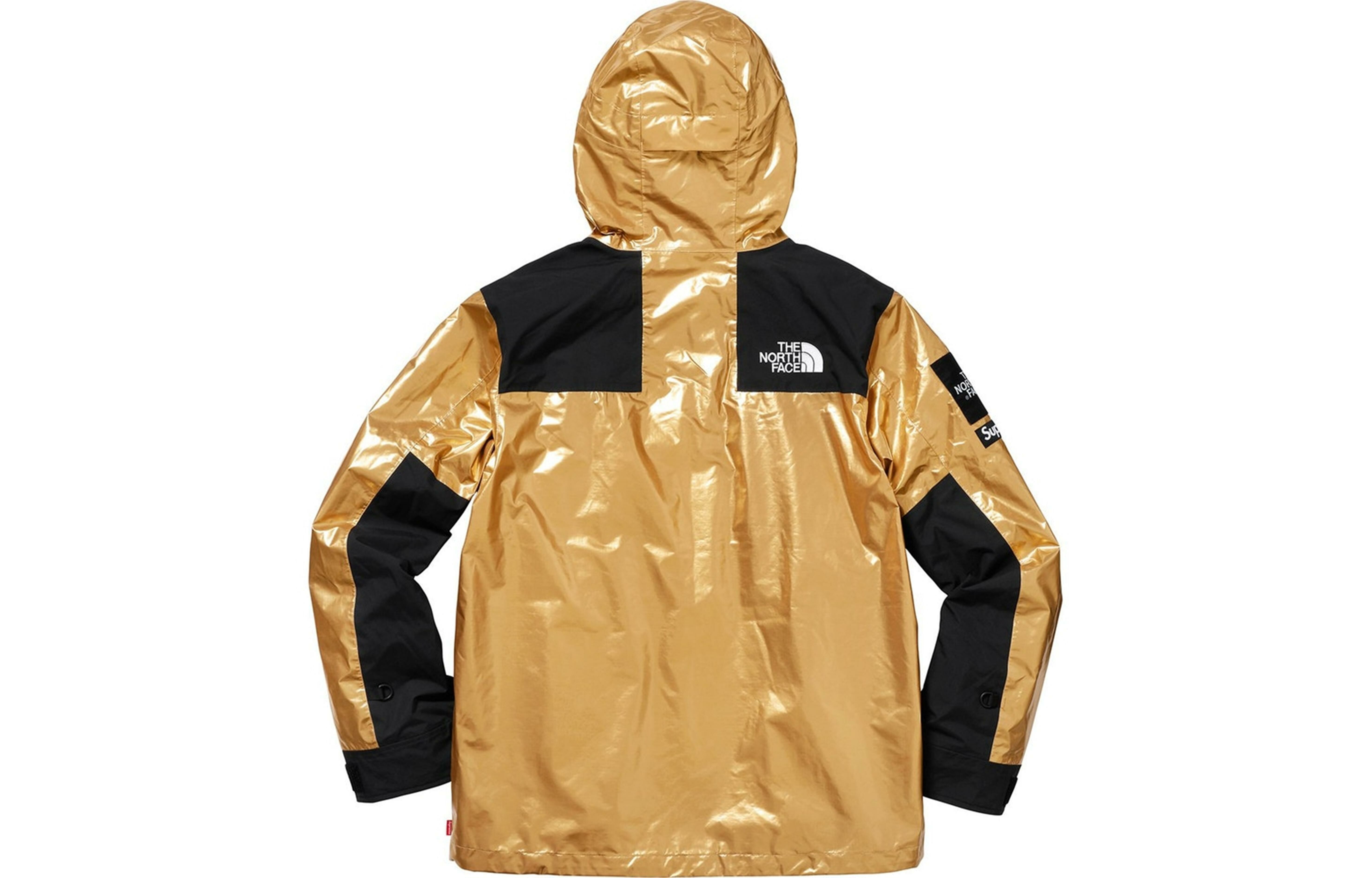【代購】Supreme The North Face Metallic Mountain Parka
