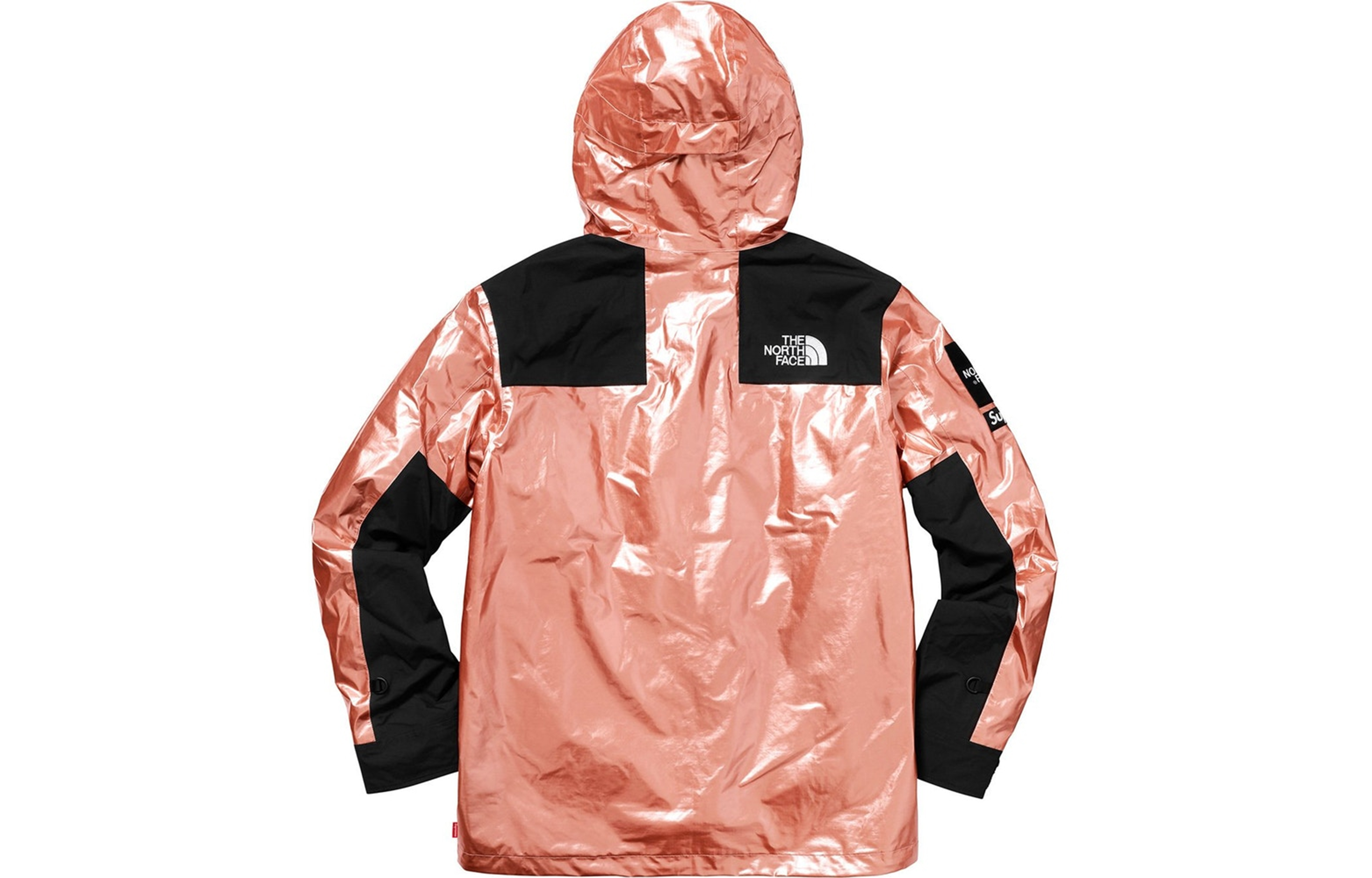 【代購】Supreme The North Face Metallic Mountain Parka