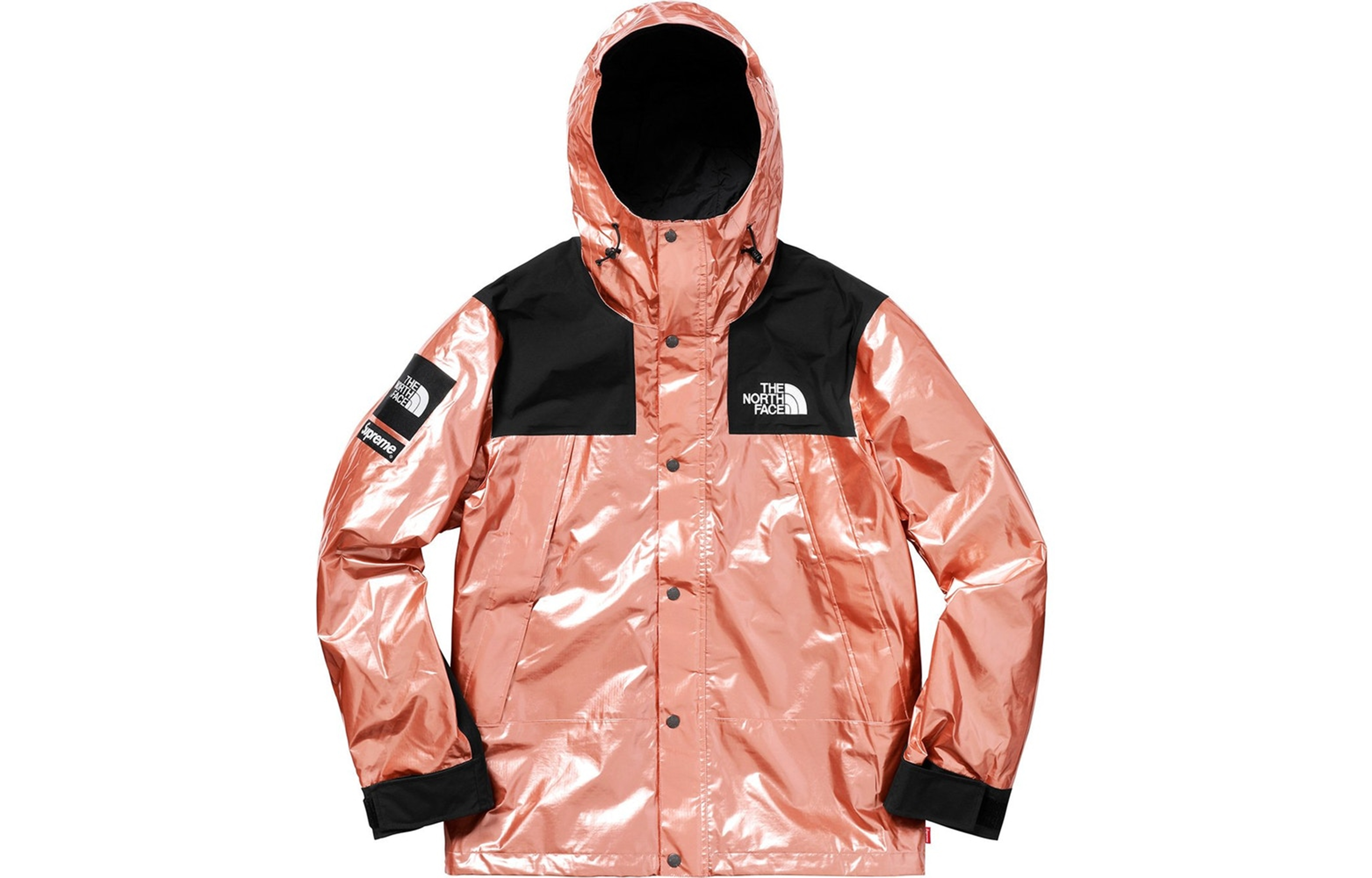 【代購】Supreme The North Face Metallic Mountain Parka