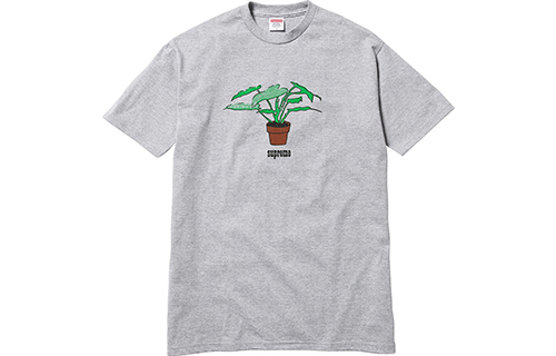 【代購】Supreme Plant Tee