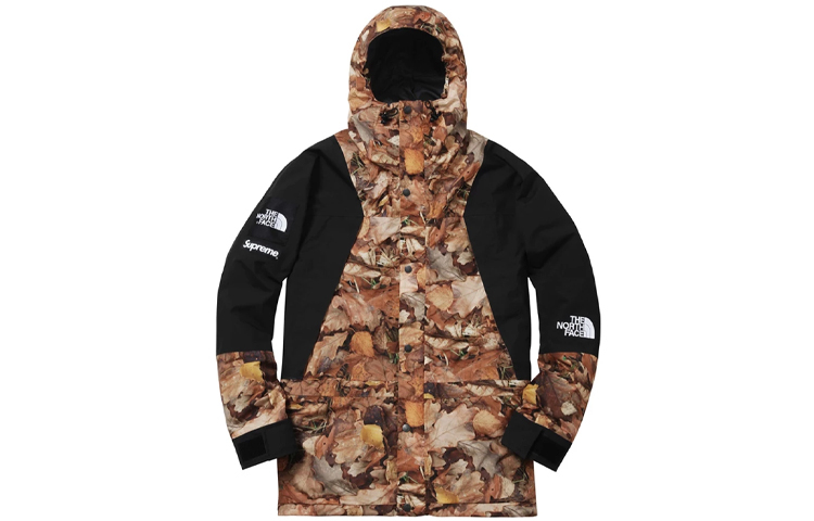 【代購】Supreme The North Face Mountain Light Jacket