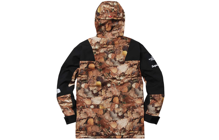 【代購】Supreme The North Face Mountain Light Jacket