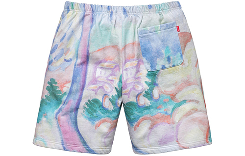 【代購】Supreme Landscape Sweatshort