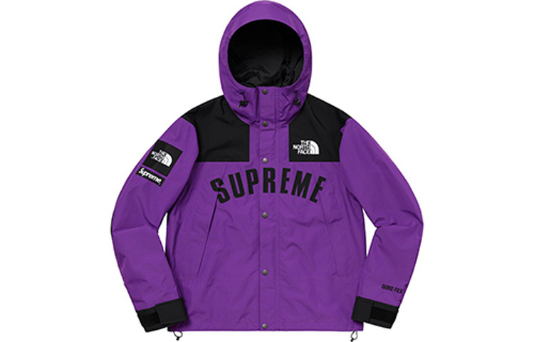 【代購】Supreme The North Face Arc Logo Mountain Parka