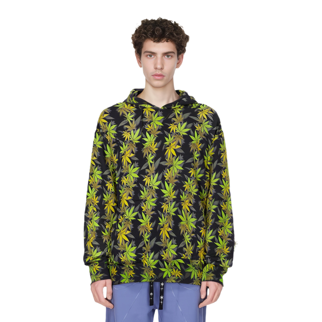 【代購】Supreme The North Face Leaf Hooded Sweatshirt