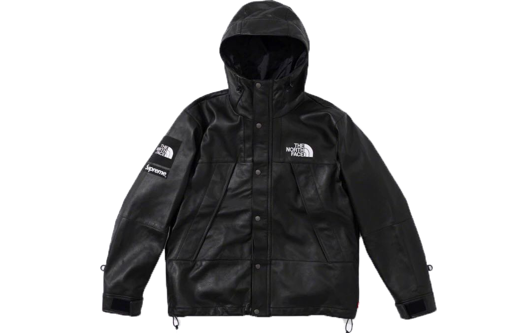 【代購】Supreme The North Face Leather Mountain Parka