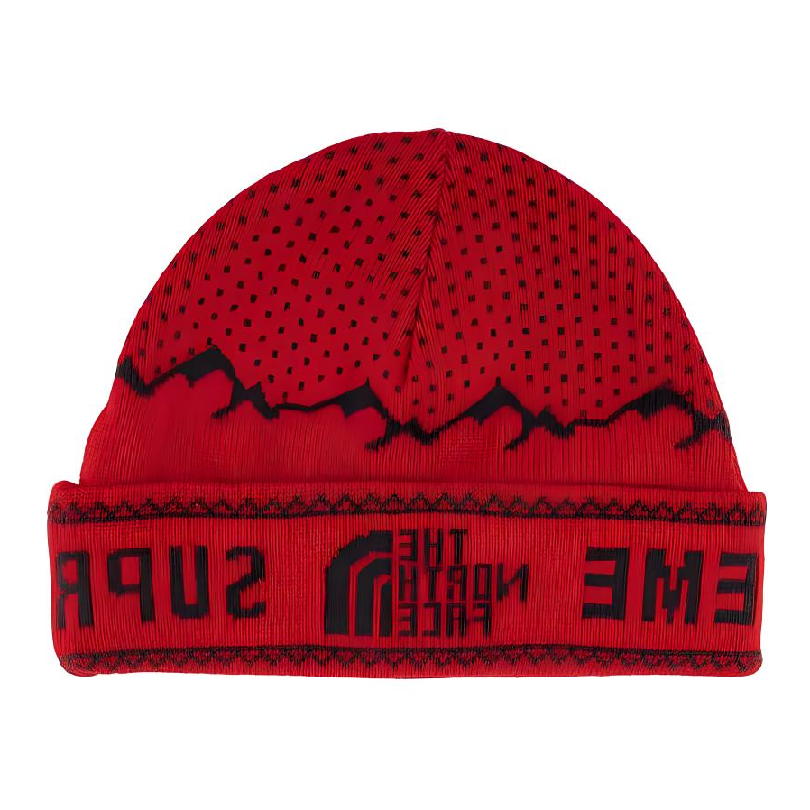 【代購】Supreme TNF Fold Beanie