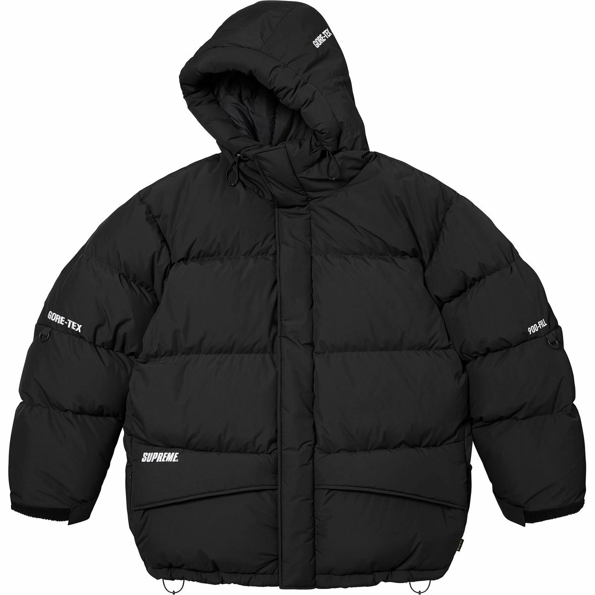 【代購】Supreme GORE-TEX 900-Fill Down Parka