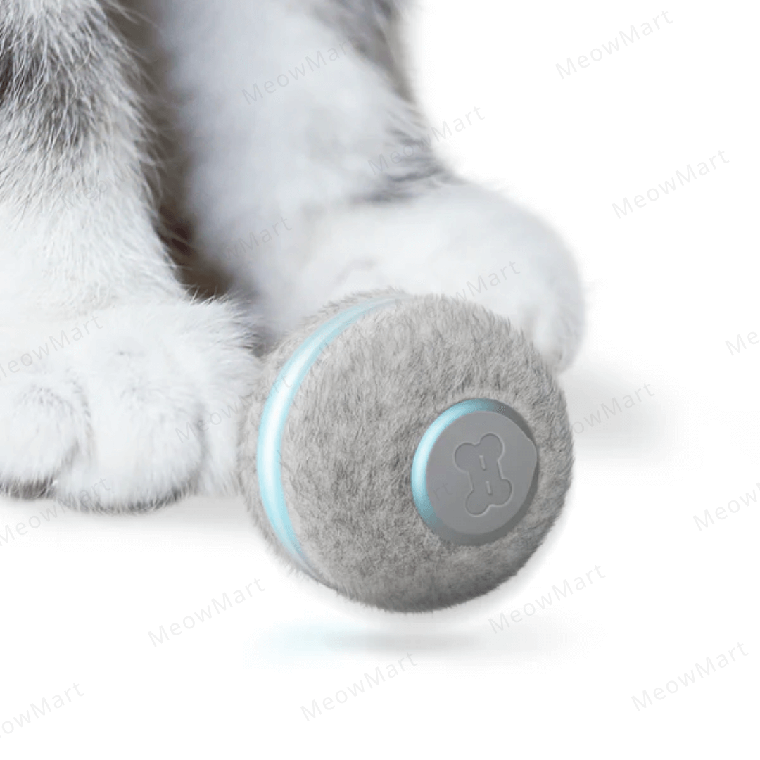 Cheerble M1貓用互動式電動球