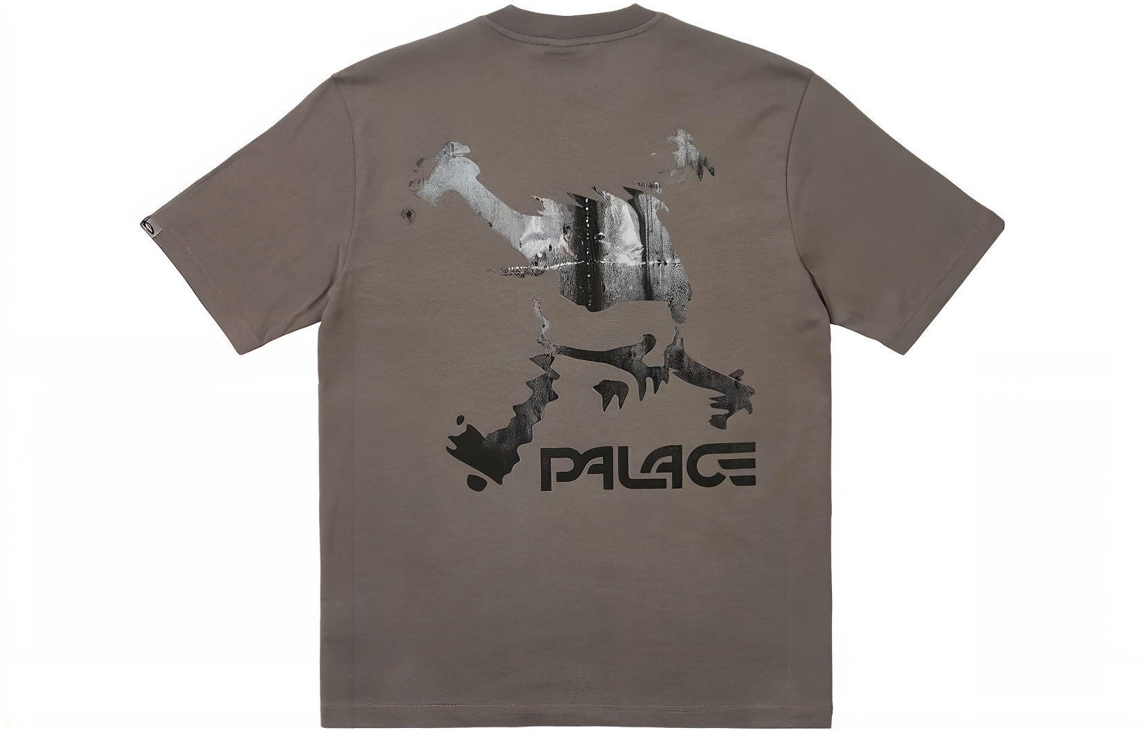 【代購】PALACE X Oakley T-Shirt