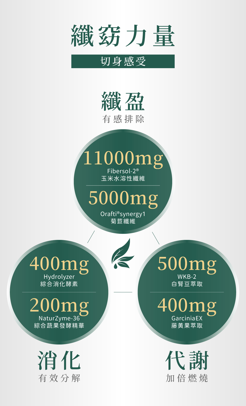 極酵纖窈飲成分