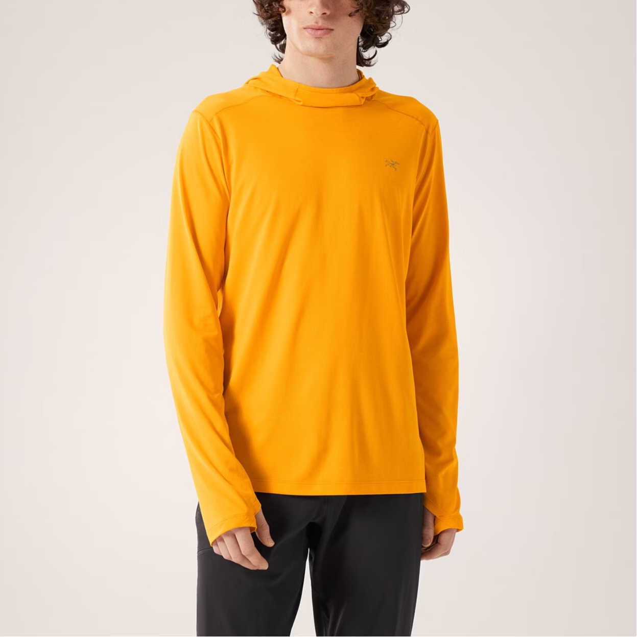 【代購】Arcteryx CORMAC HOODY Sweatshirt Men's