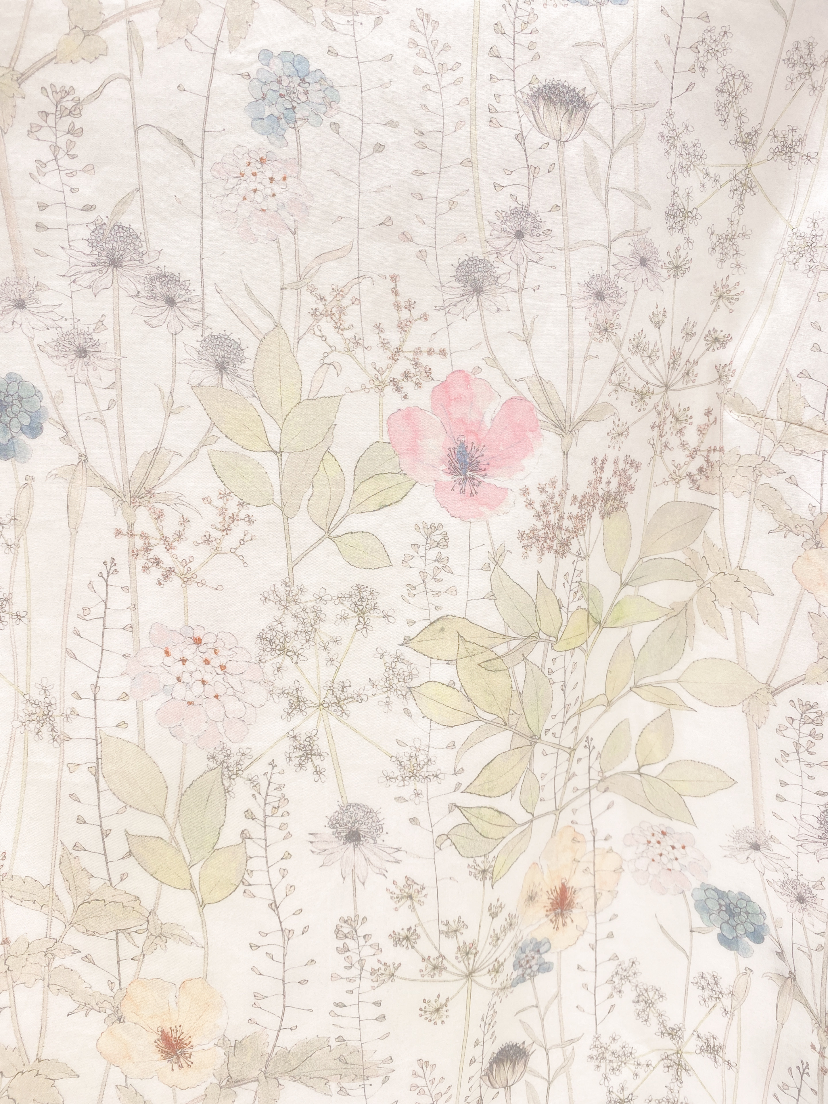 五分荷袖花布上衣