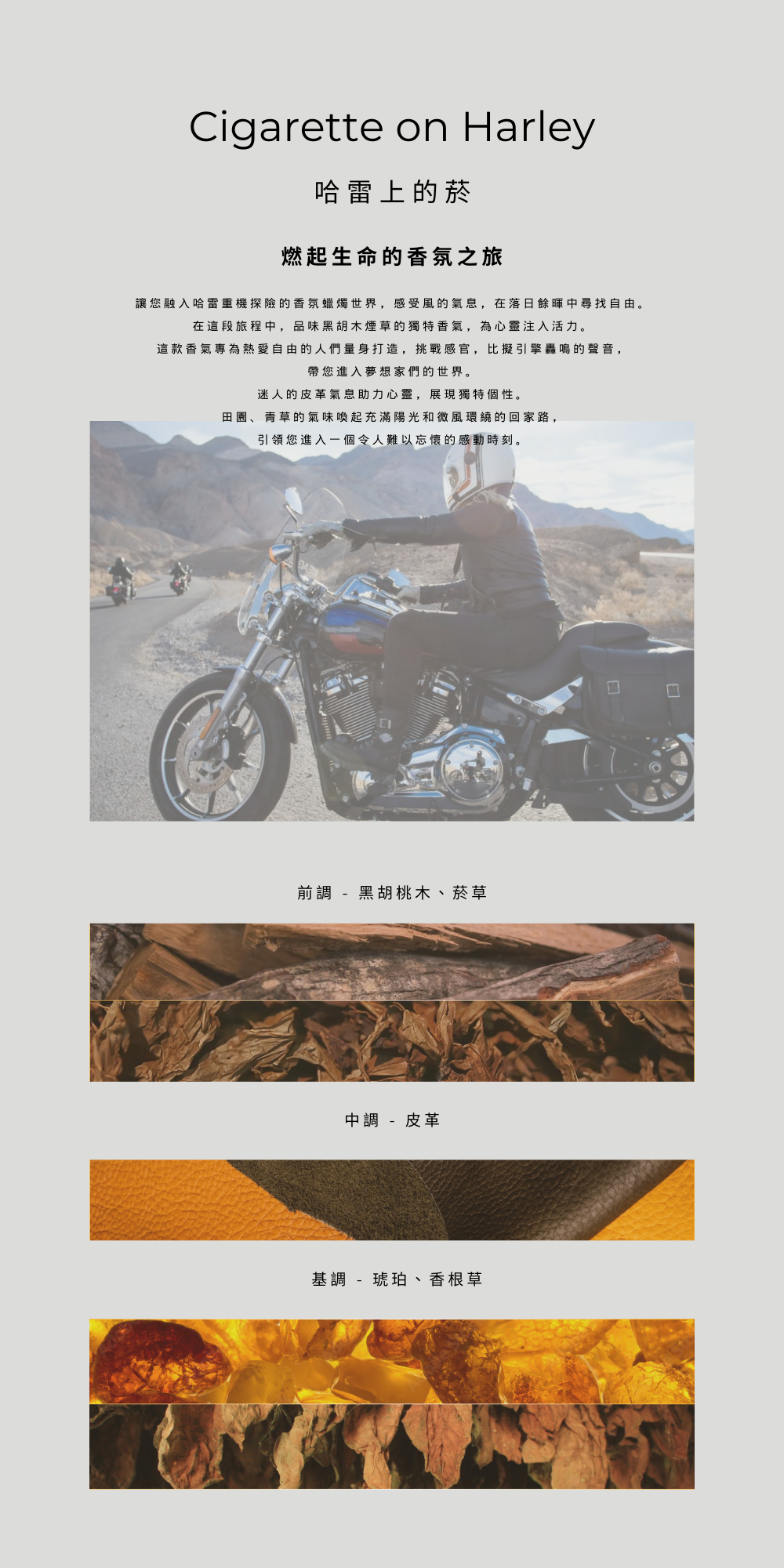 哈雷上的菸 Cigarette on Harley－微風陽光的芬芳。
