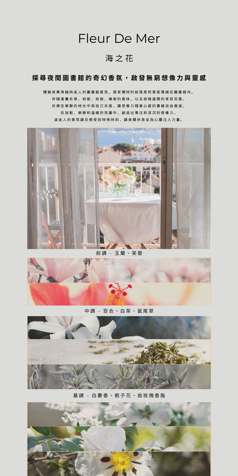 海之花 Fleur De Mer-海風花香,涼爽活力。