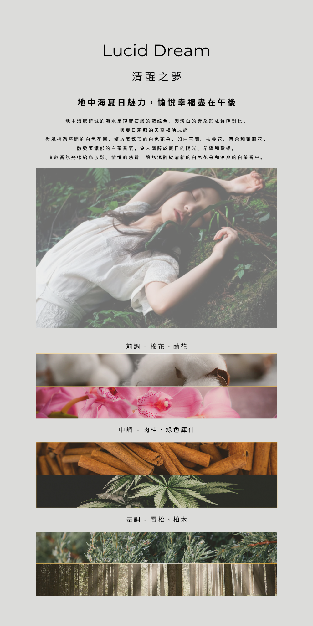 清醒之夢 Lucid Dream-鬆軟而甜蜜的夢香。前調 - 棉花、蘭花 中調 - 肉桂、綠色庫什 基調 - 雪松、柏木