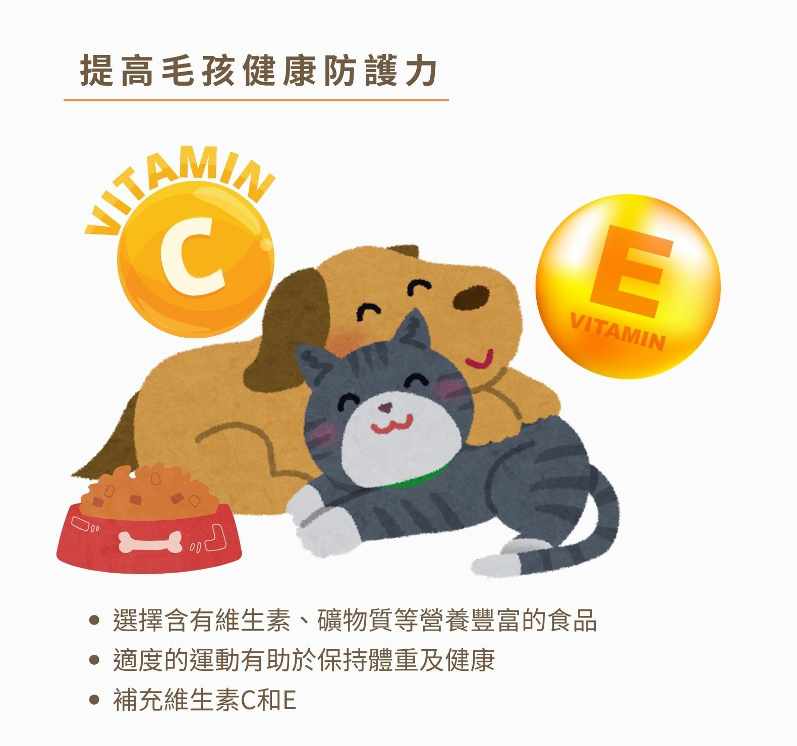 換季容易造成毛孩的身體不適可以用這樣的方式來提高毛孩健康防護力