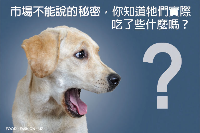 市場不能說的秘密 你知道牠們實際吃了些什麼嗎?? 爆能火G_趕食髦