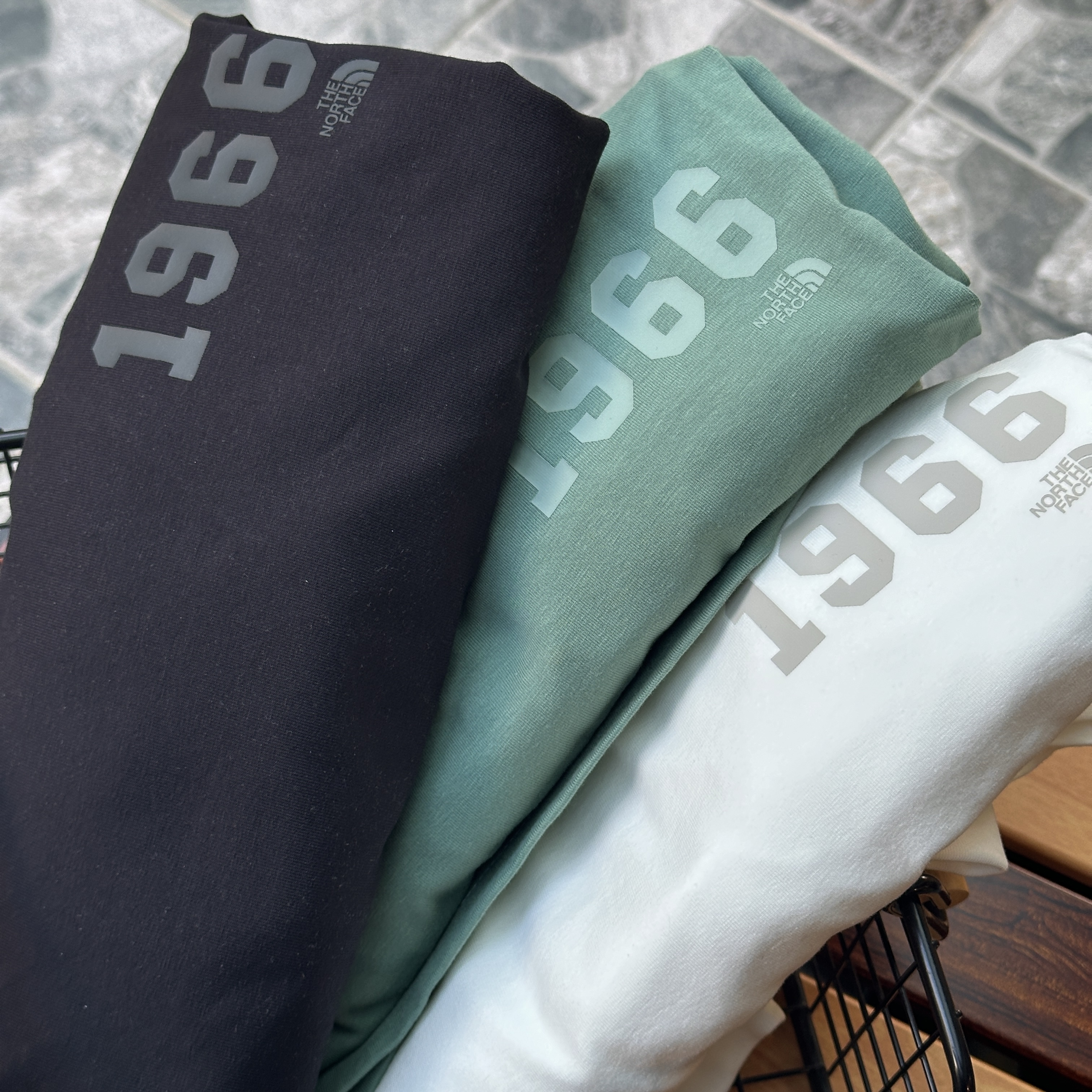 【現貨】The North Face CORE 1966 L/S R/TEE 北臉 1966 logo 薄長袖 NT7TQ01