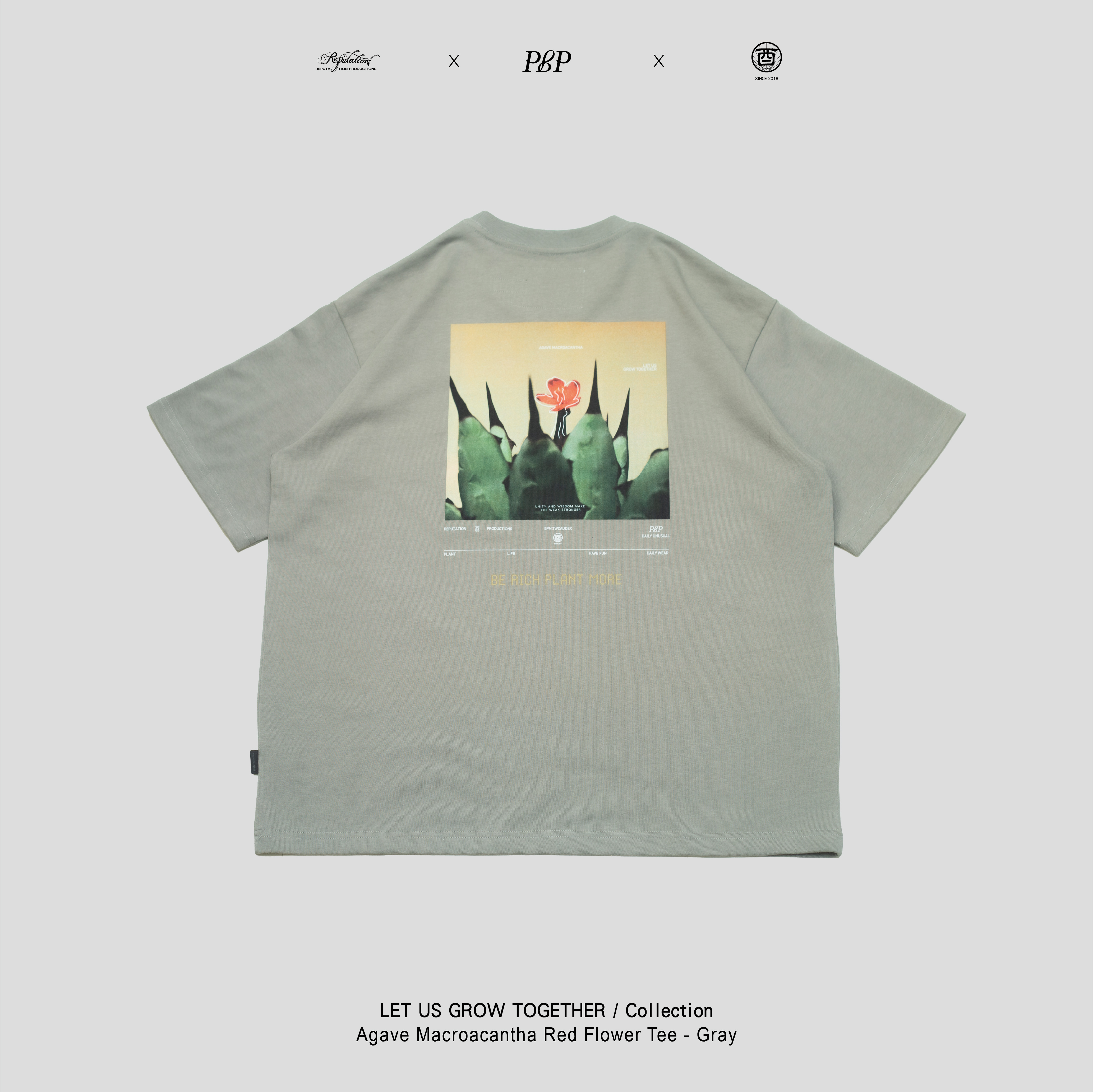 P.B.P X  酉5pm.twcaudex® X RPTN - AGAVE MACROACANTHA RED FLOWER TEE  - GRAY