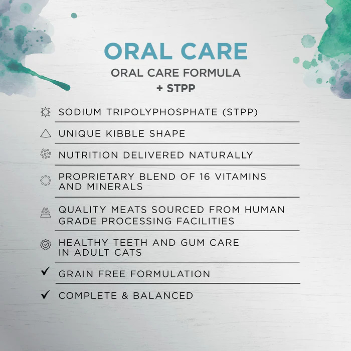 Ivory Coat 口腔護理成貓糧 (無穀物乾糧+生羊肉凍乾)