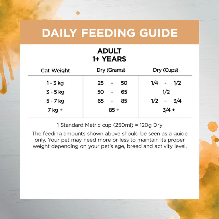 Ivory Coat 健康管理養生成貓糧 (無穀物乾糧+生羊肉凍乾)