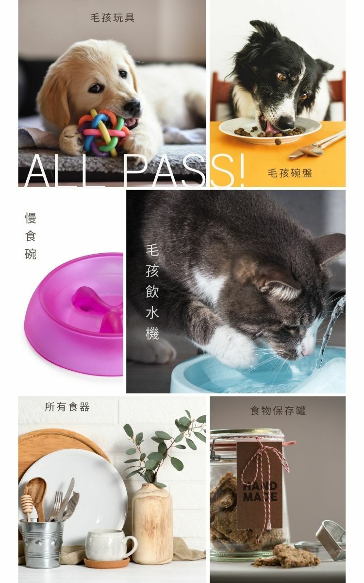 ベンベンティアオ ペット用 家庭用/植物由来泡食器用洗剤+補充パックセット - その他 - その他の素材