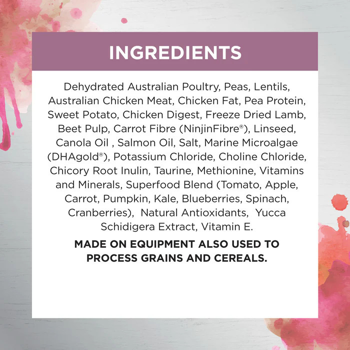 Ivory Coat 免疫力增強幼貓糧 (無穀物乾糧+生羊肉凍乾)