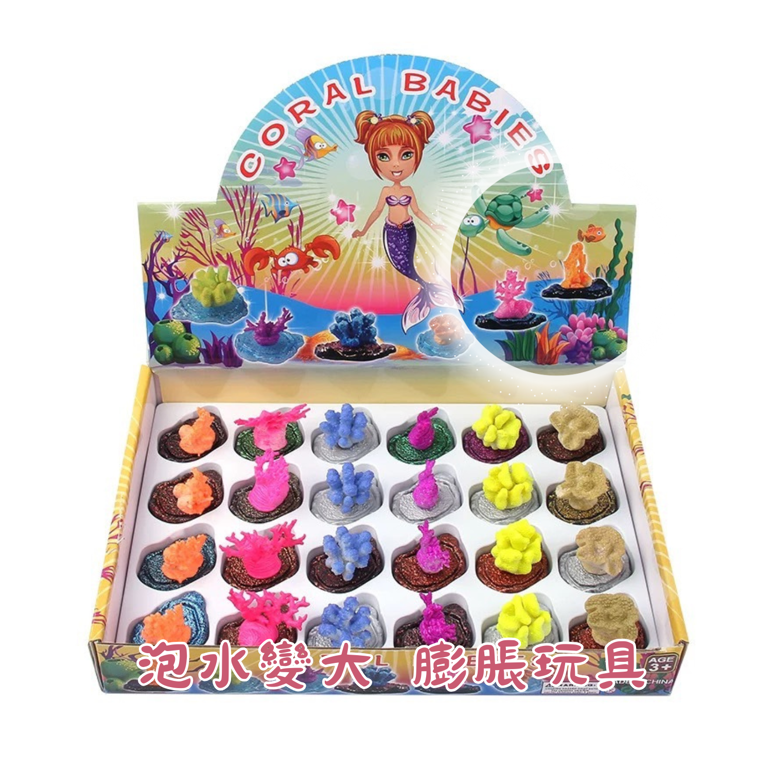 板橋院｜泡水奇蹟珊瑚(每盒24個)🌊🐠 兒童節禮物首選