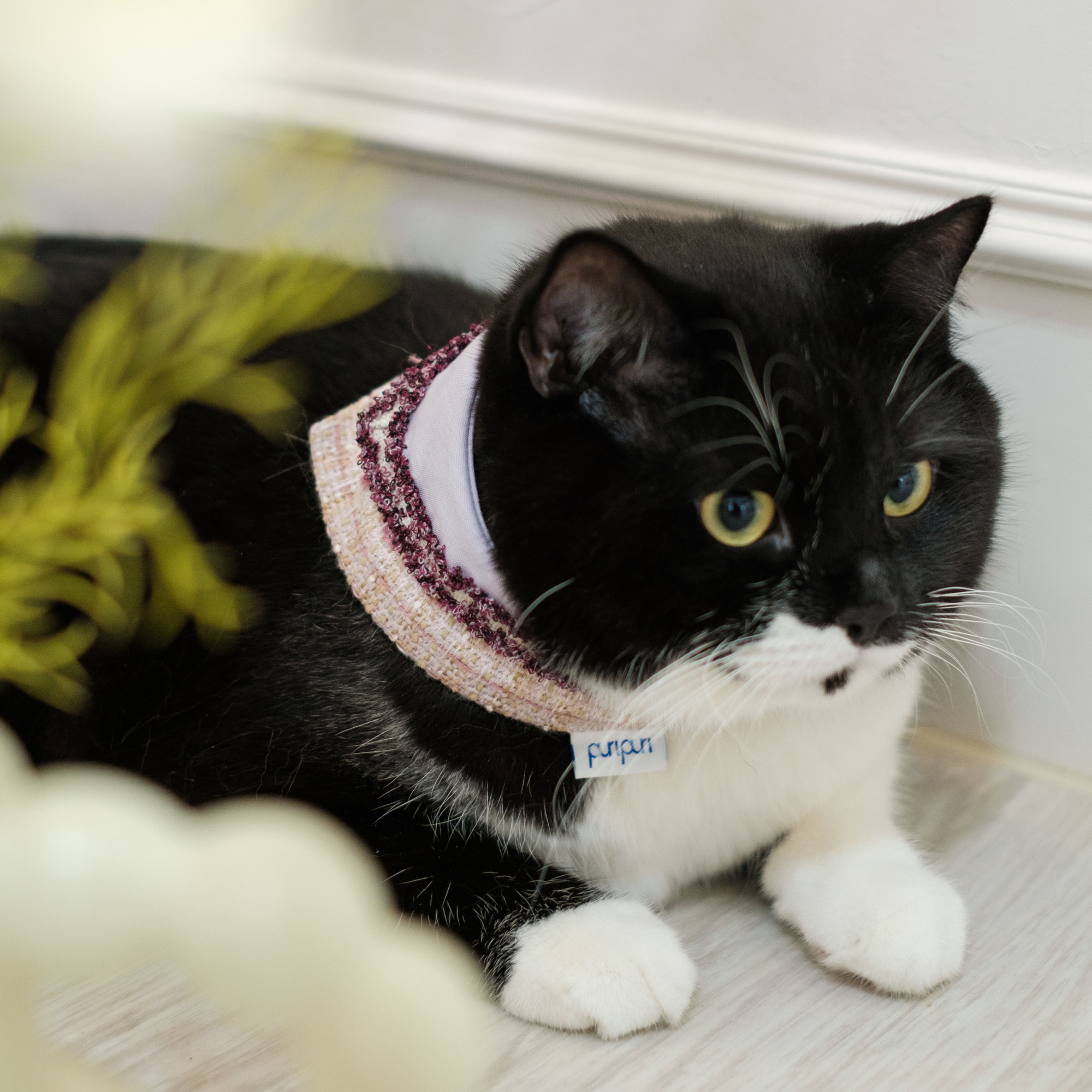 PuriPuri® 寵物領巾 - 花園精靈